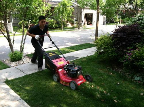 工廠、商務大樓、工業園區、私人企業、電影院、銀行、政府機關、學校、酒店娛樂場所等綠化養護