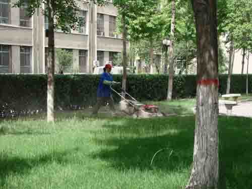 工廠、商務大樓、工業園區、私人企業、電影院、銀行、政府機關、學校、酒店娛樂場所等綠化養護