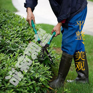 江陰保潔公司 江陰保潔服務 江陰綠化養護 江陰保潔公司 江陰保潔服務 江陰綠化養護