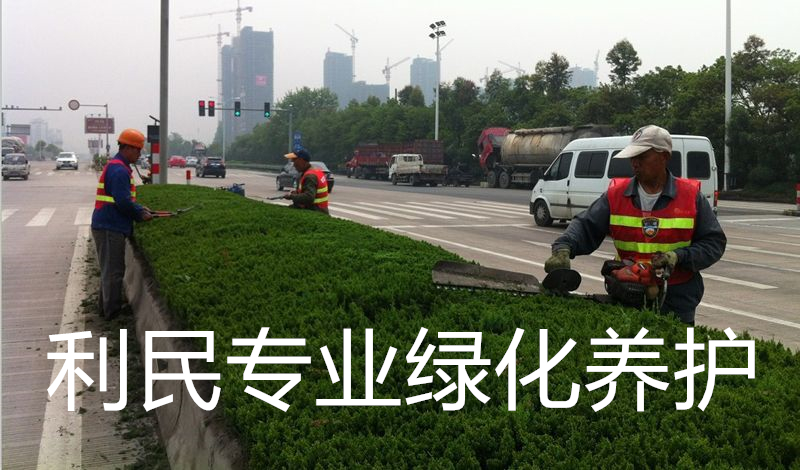綠化養護 綠化養護